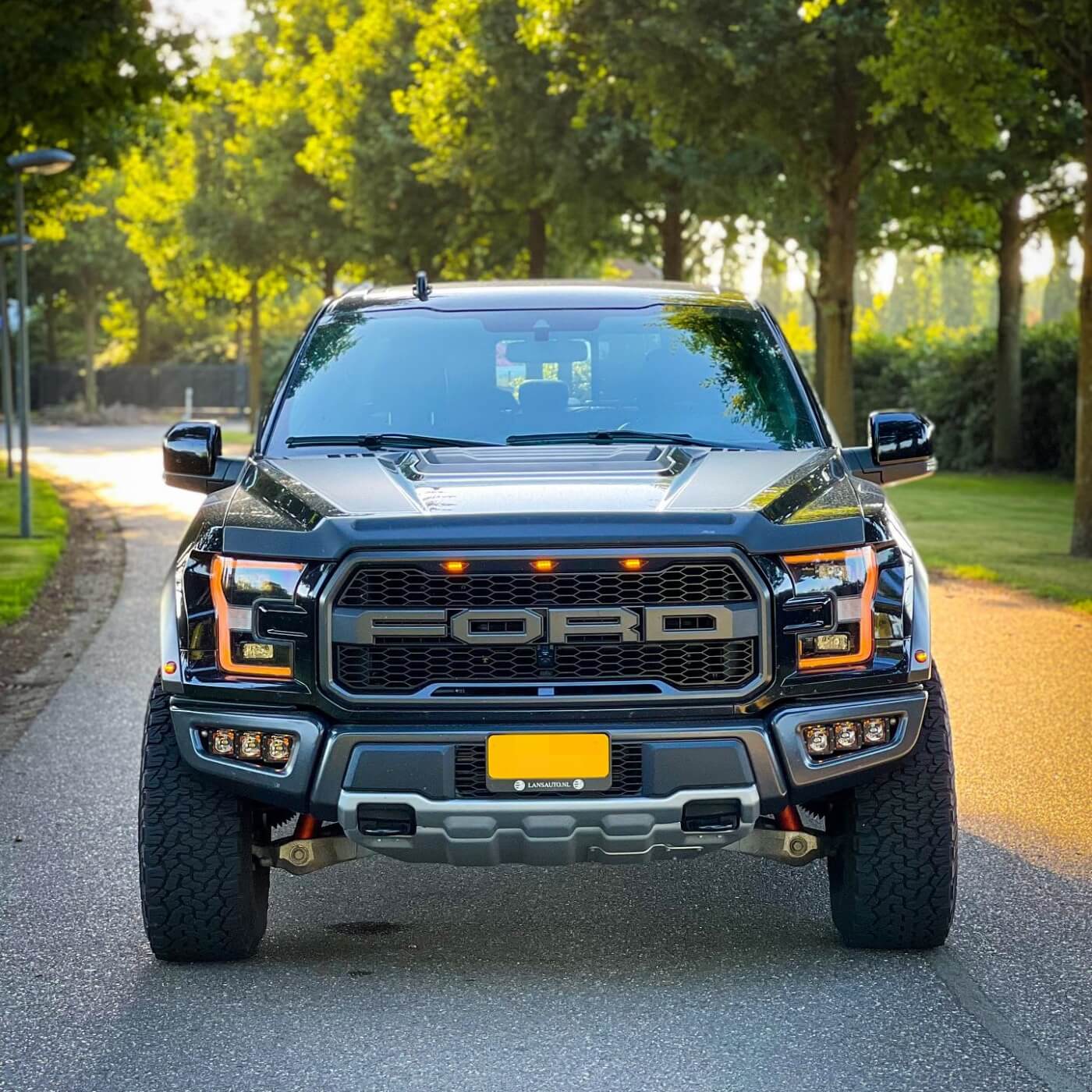 Ford F150 Grill 2015-2017 Grill Raptor Style Front Bumper Upper Hood