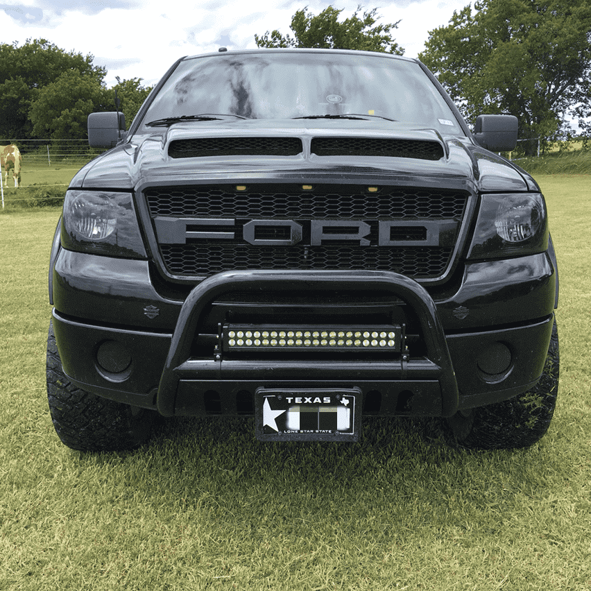 {WildWell}{Ford Grill}-{Ford F150 Grill 2004-2008/3}-Front